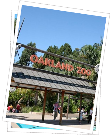 Oakland Zoo