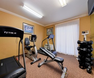 Comfort Inn Castro Valley - Excercise Room