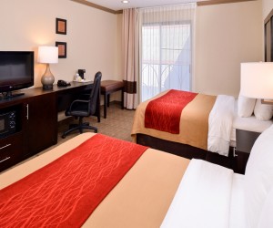 Comfort Inn Castro Valley - Guest room with two Queen Beds