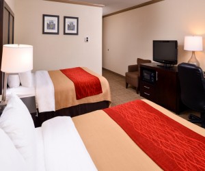 Comfort Inn Castro Valley - Our 2 Queen beds are perfect for families